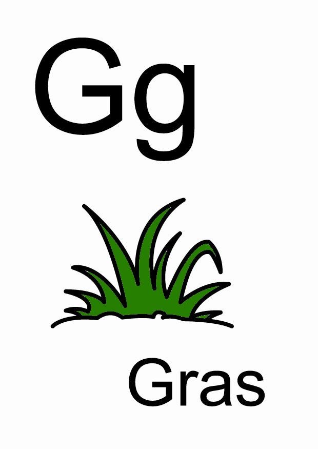 g immagine g