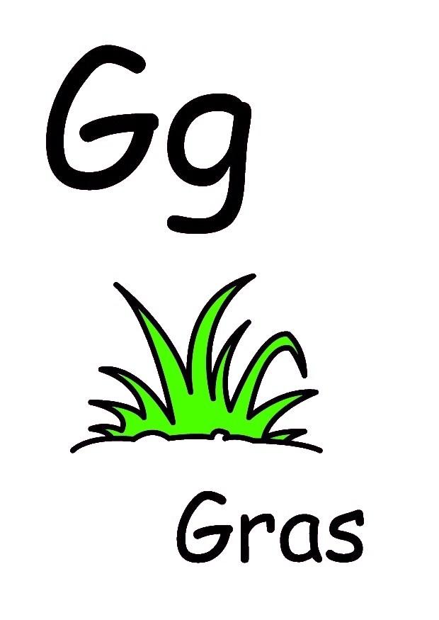g immagine g
