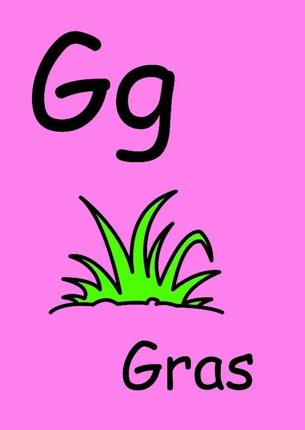 g immagine g