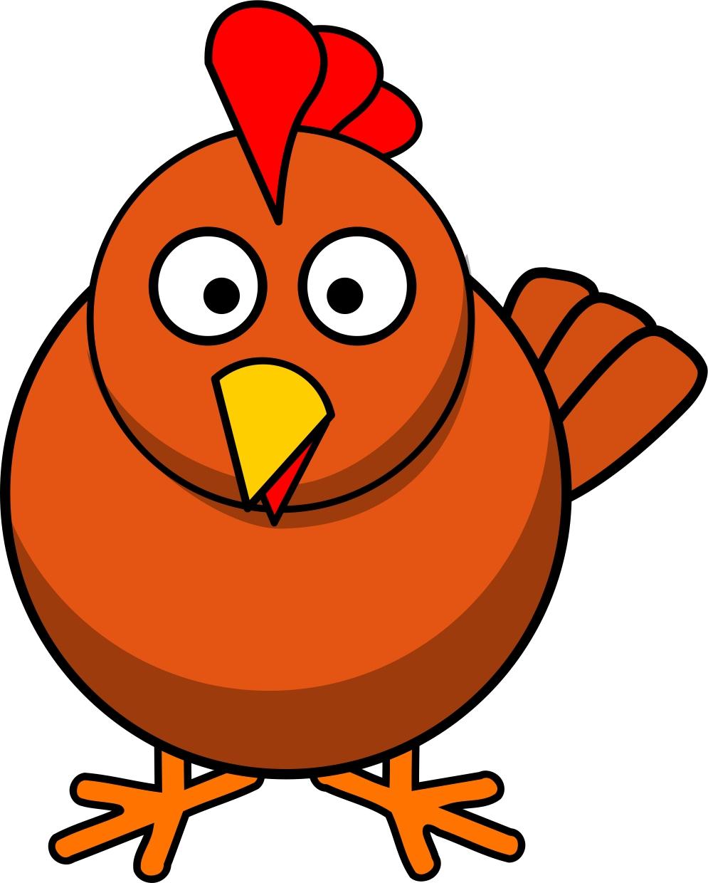 gallina immagine gallina