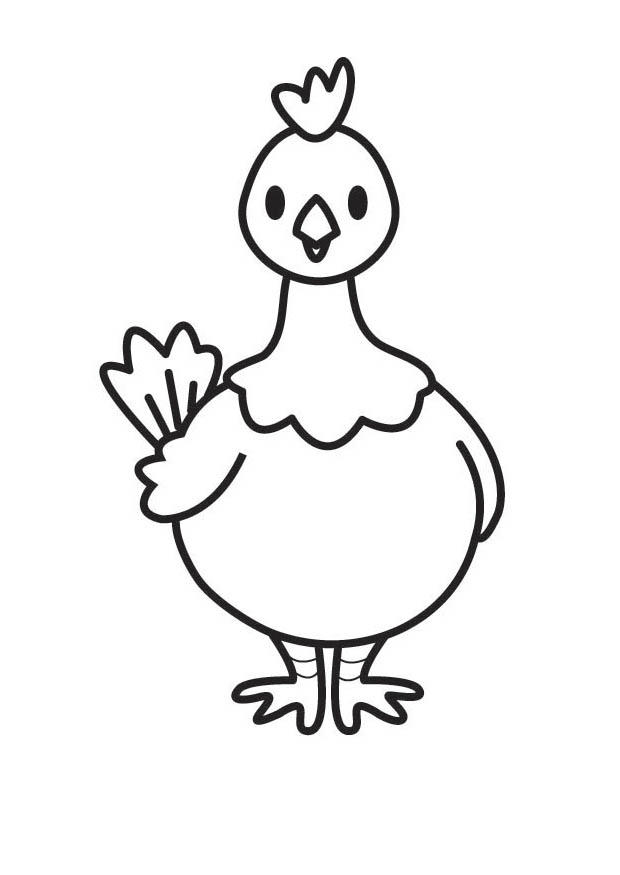 gallina Disegno da colorare gallina