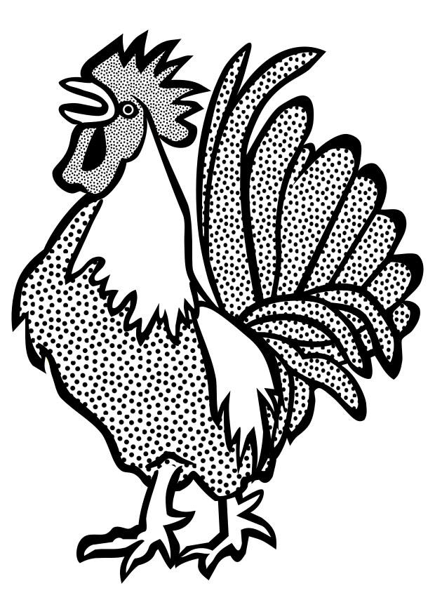 gallo Disegno da colorare gallo