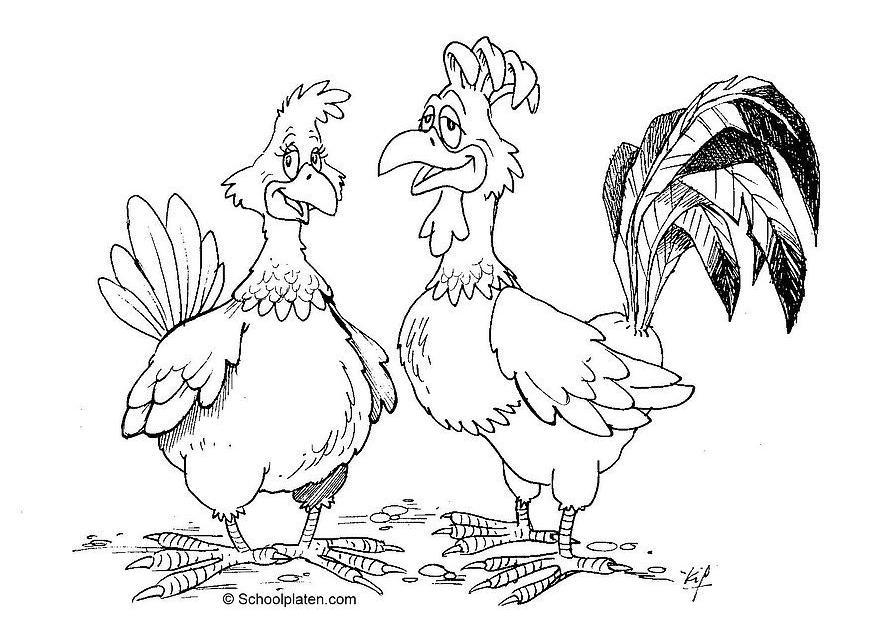 gallo e gallina Disegno da colorare gallo e gallina