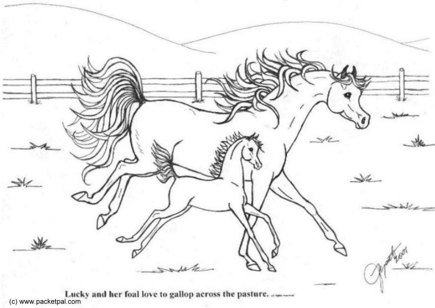 galoppo Disegno da colorare galoppo