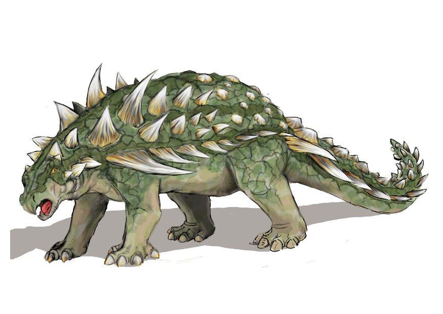 gastonia burgei immagine gastonia burgei
