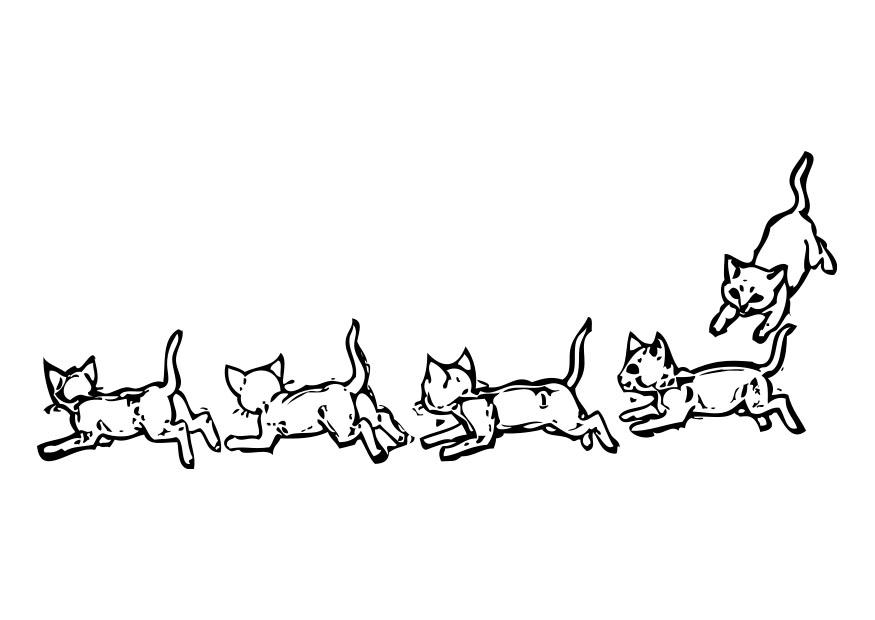 gatti Disegno da colorare gatti