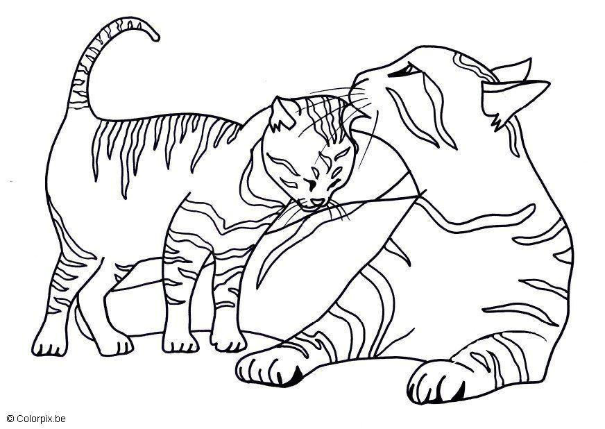 gattini Disegno da colorare gattini