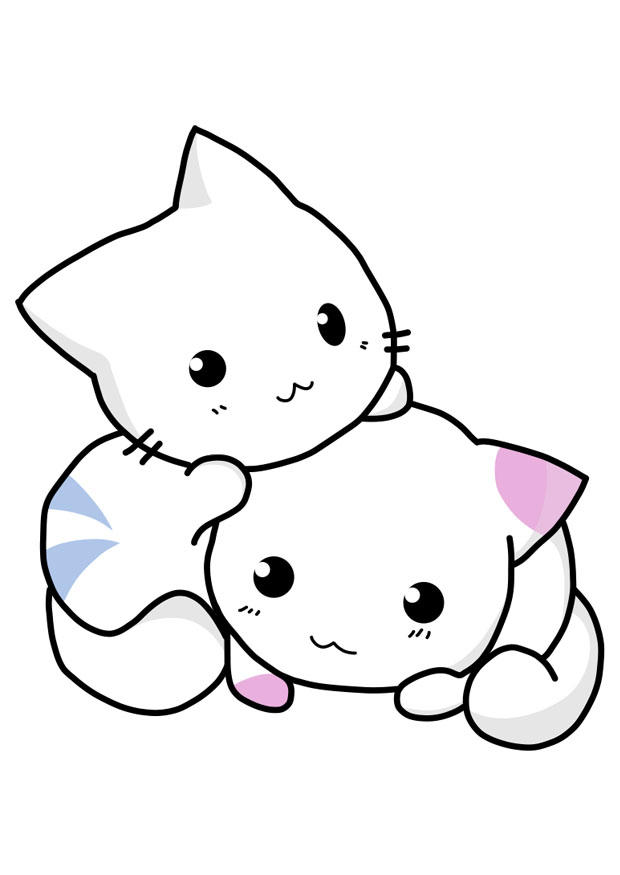 gattini immagine gattini