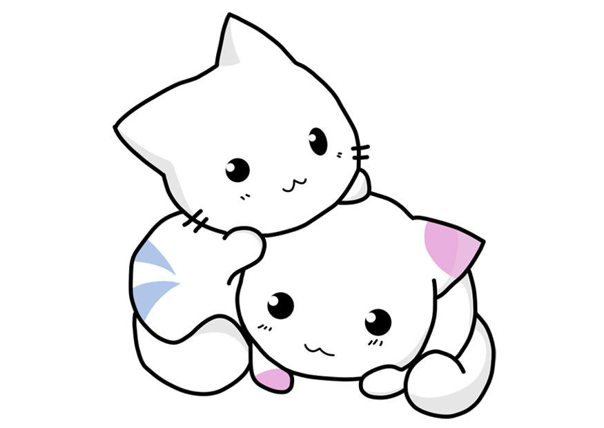gattini immagine gattini