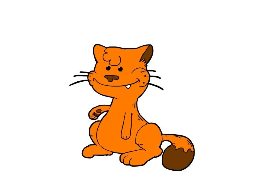gatto immagine gatto
