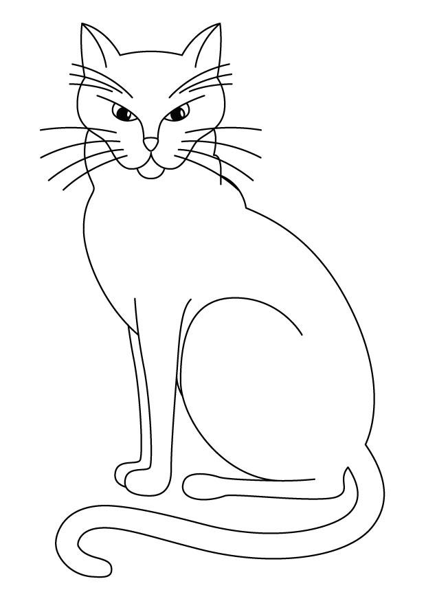 gatto Disegno da colorare gatto