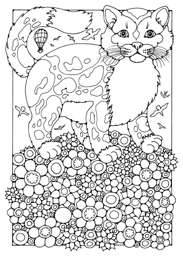 gatto Disegno da colorare gatto