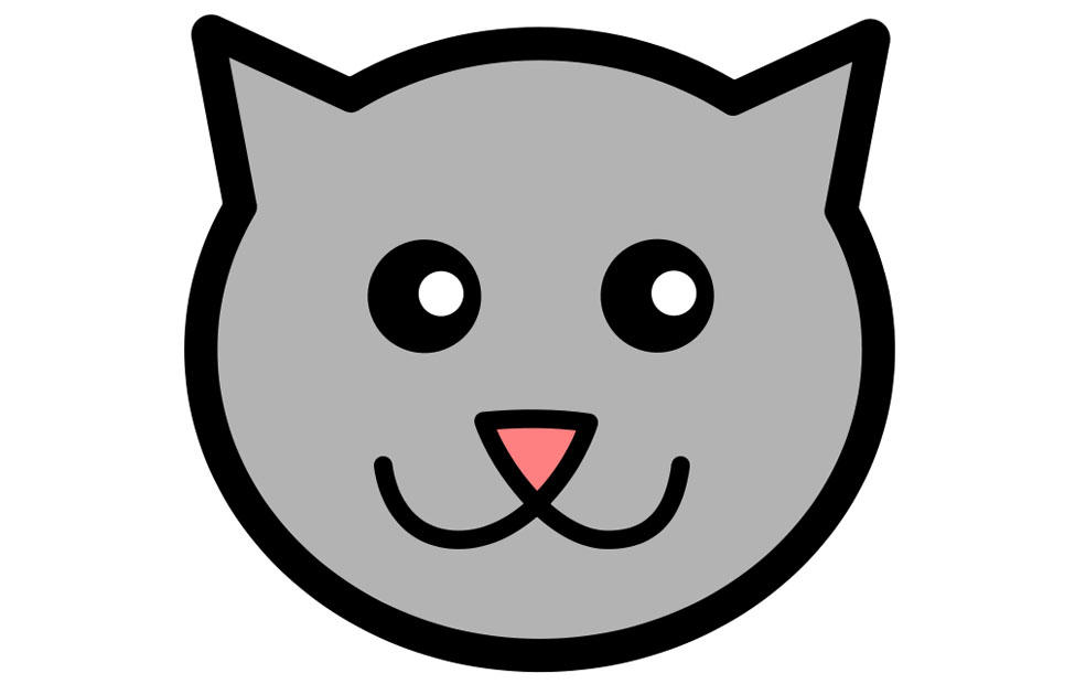 gatto immagine gatto