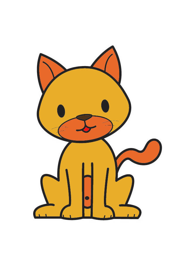 gatto immagine gatto