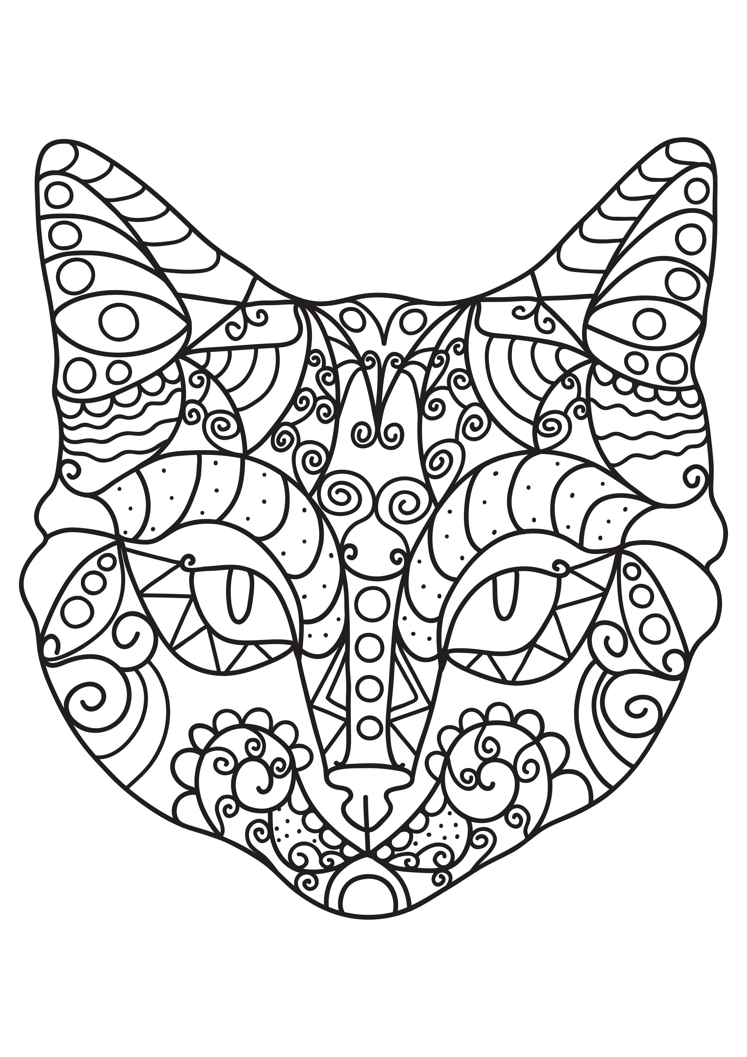 gatto Disegno da colorare gatto