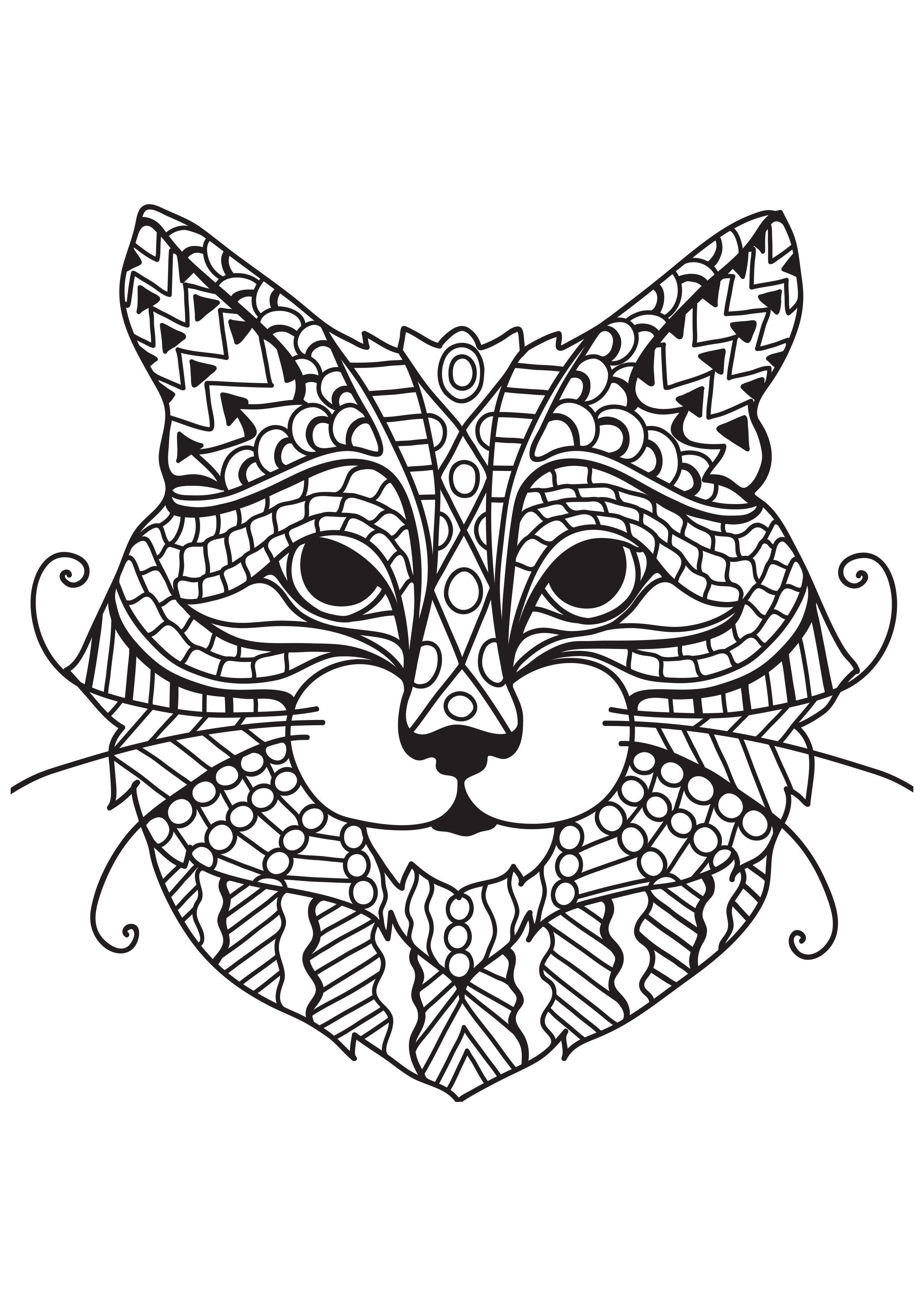 Disegno da colorare gatto con i baffi