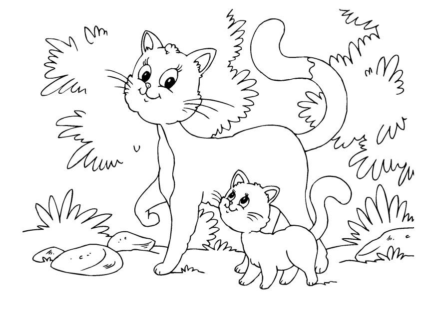 gatto e gattini Disegno da colorare gatto e gattini