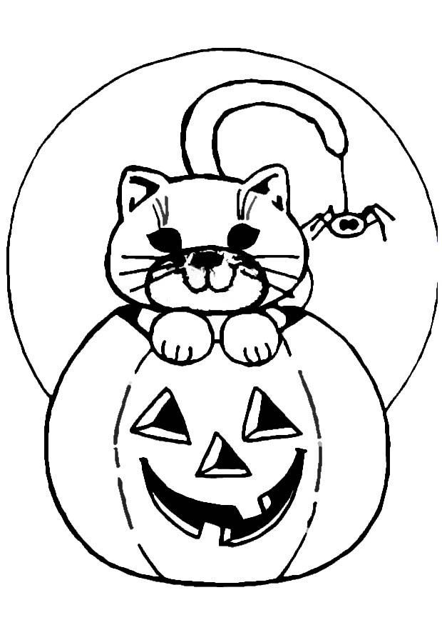 gatto e zucca Disegno da colorare gatto e zucca
