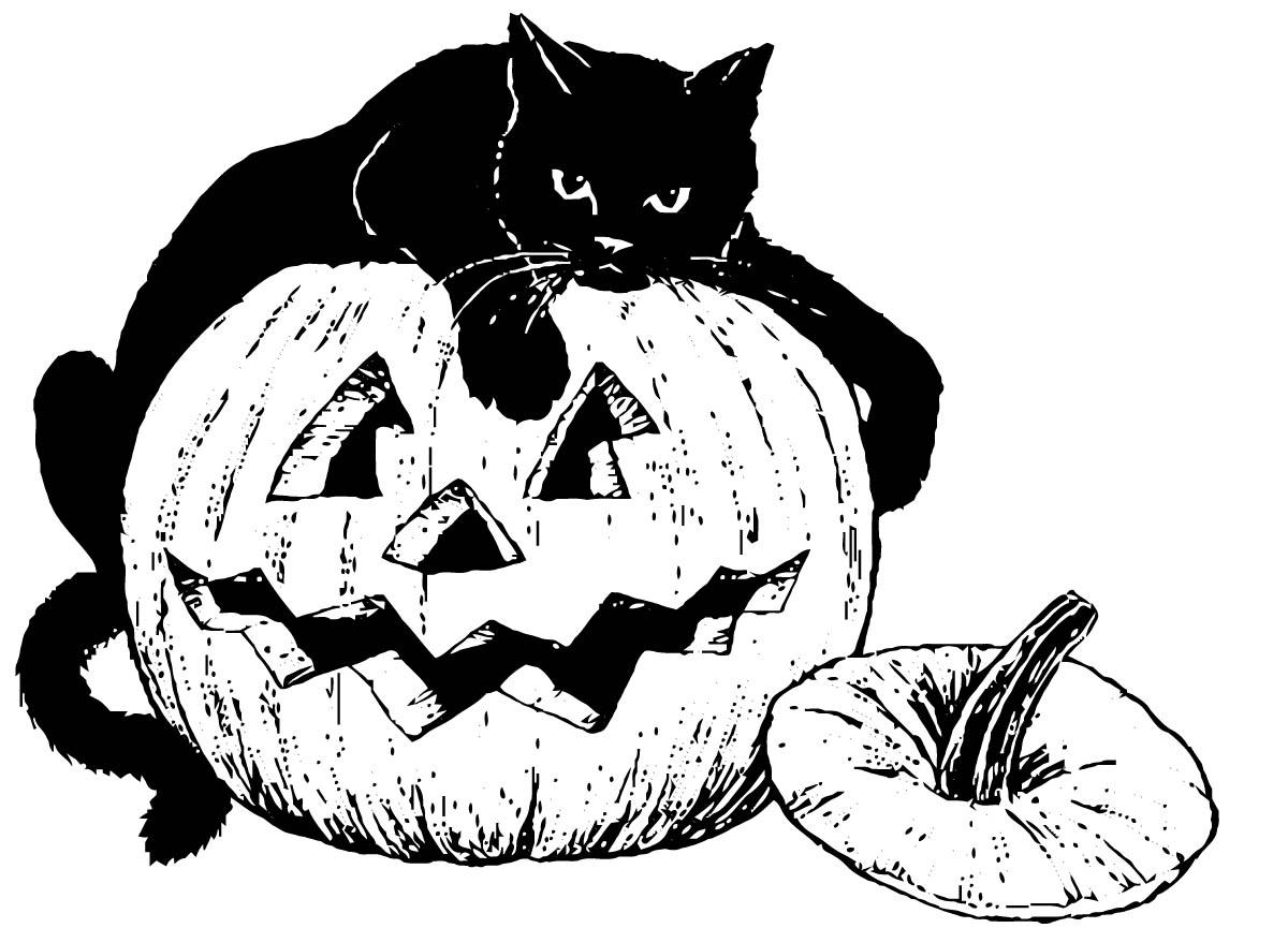 gatto nero su una zucca Disegno da colorare gatto nero su una zucca