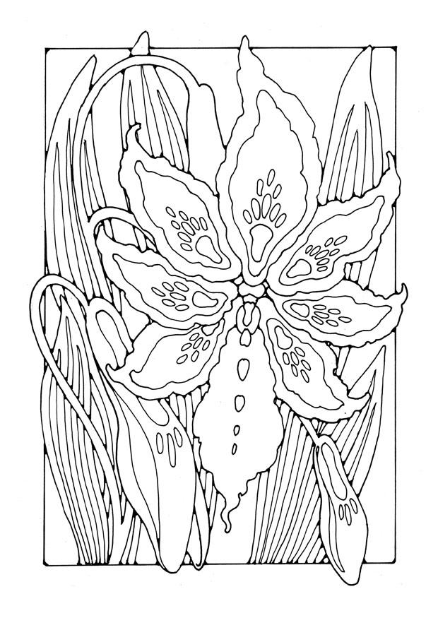 giglio Disegno da colorare giglio