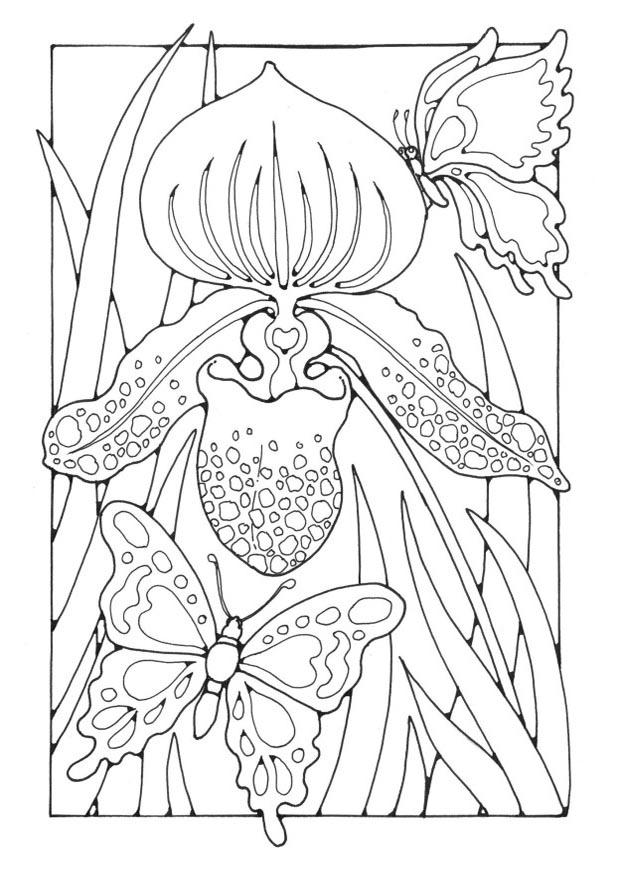 Disegno da colorare giglio con farfalle