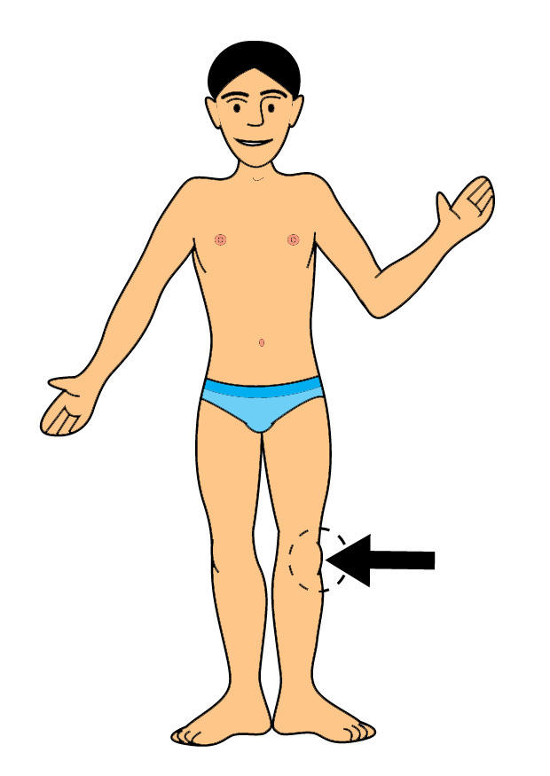 ginocchio immagine ginocchio