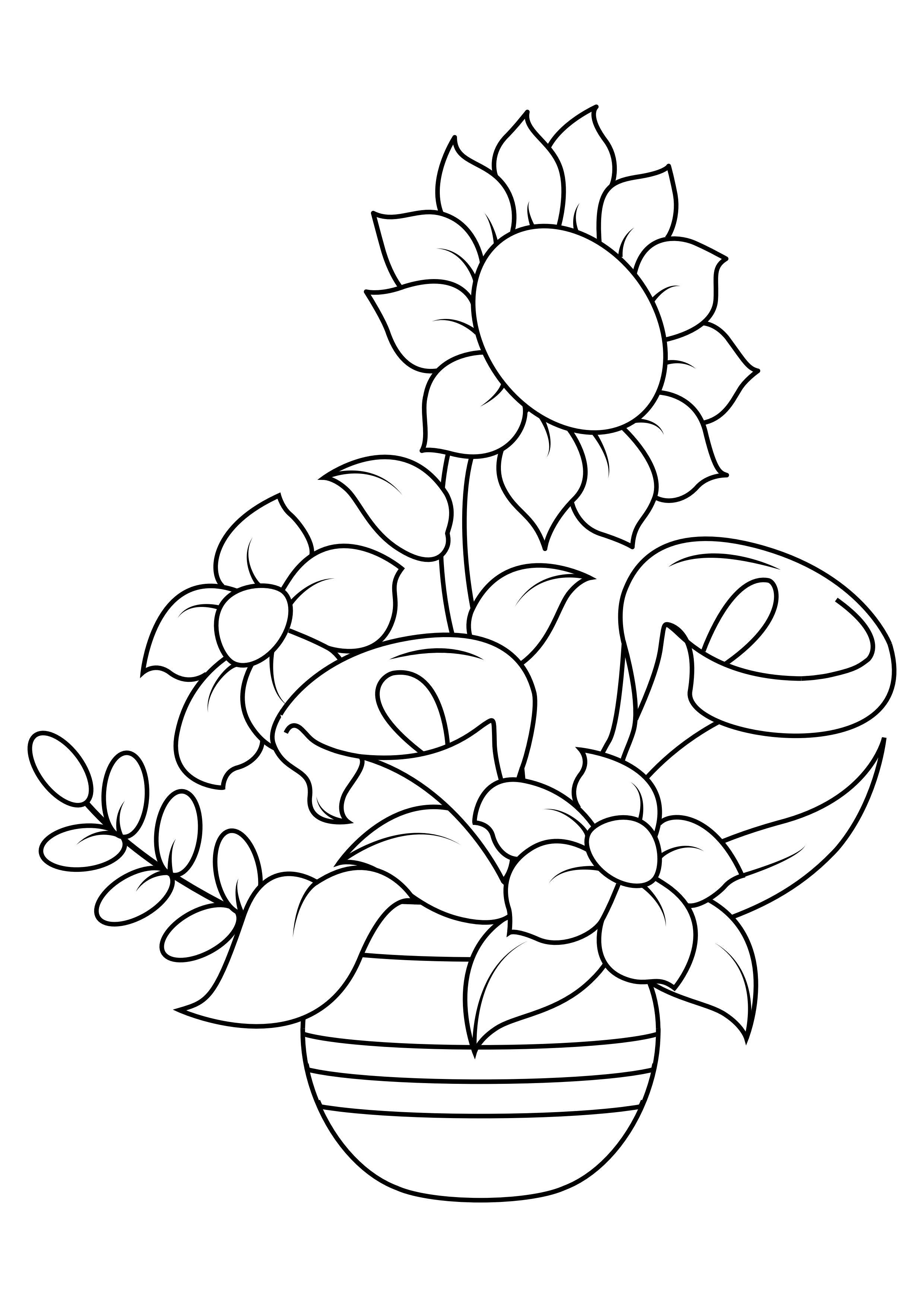 girasole Disegno da colorare girasole