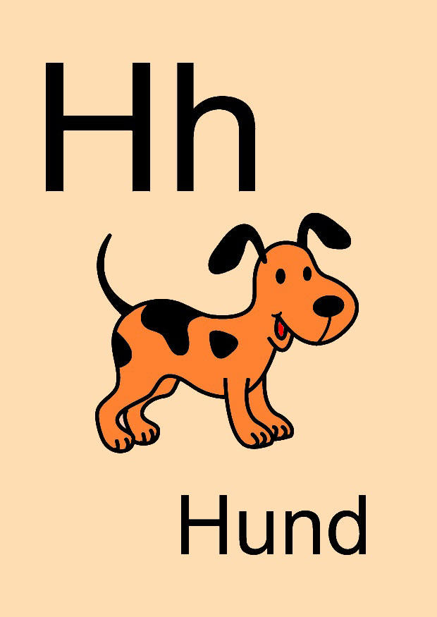 h immagine h