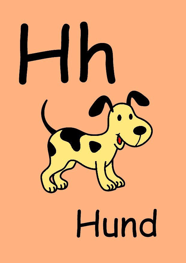 h immagine h