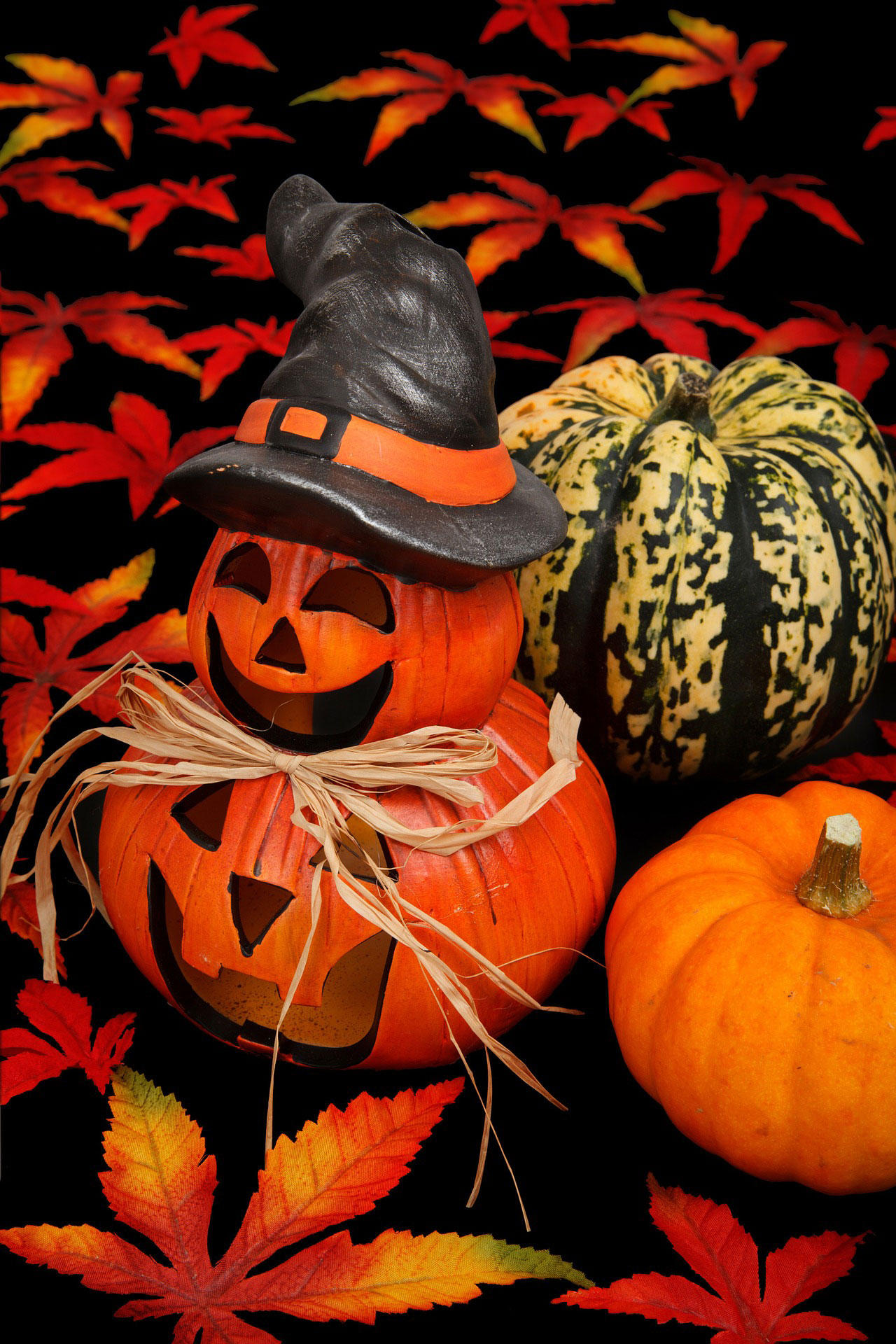 halloween Foto halloween