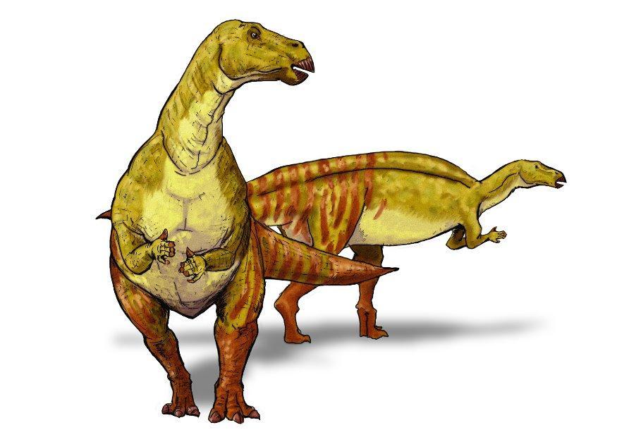 iguanodont immagine iguanodont