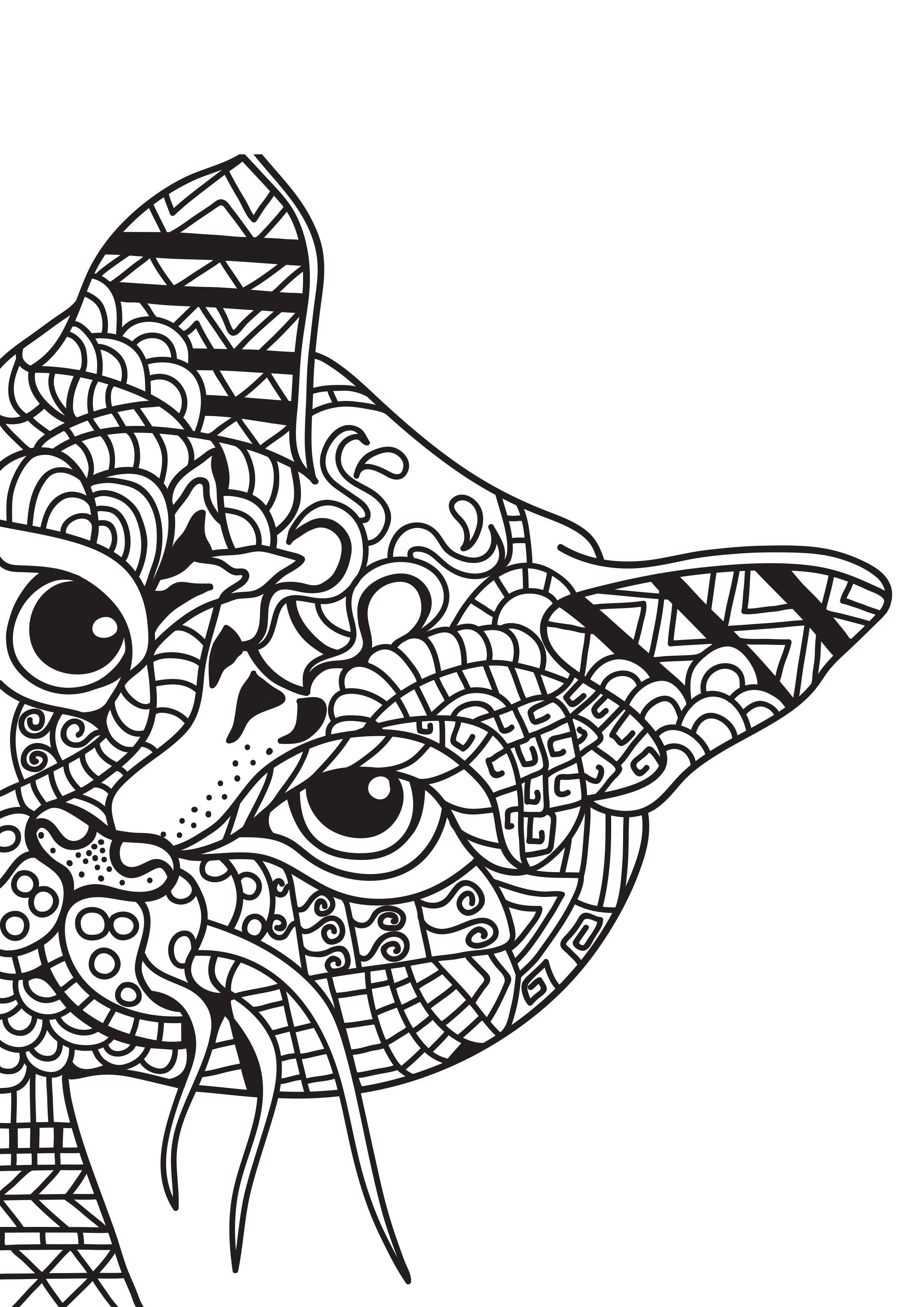 il gatto si nasconde Disegno da colorare il gatto si nasconde
