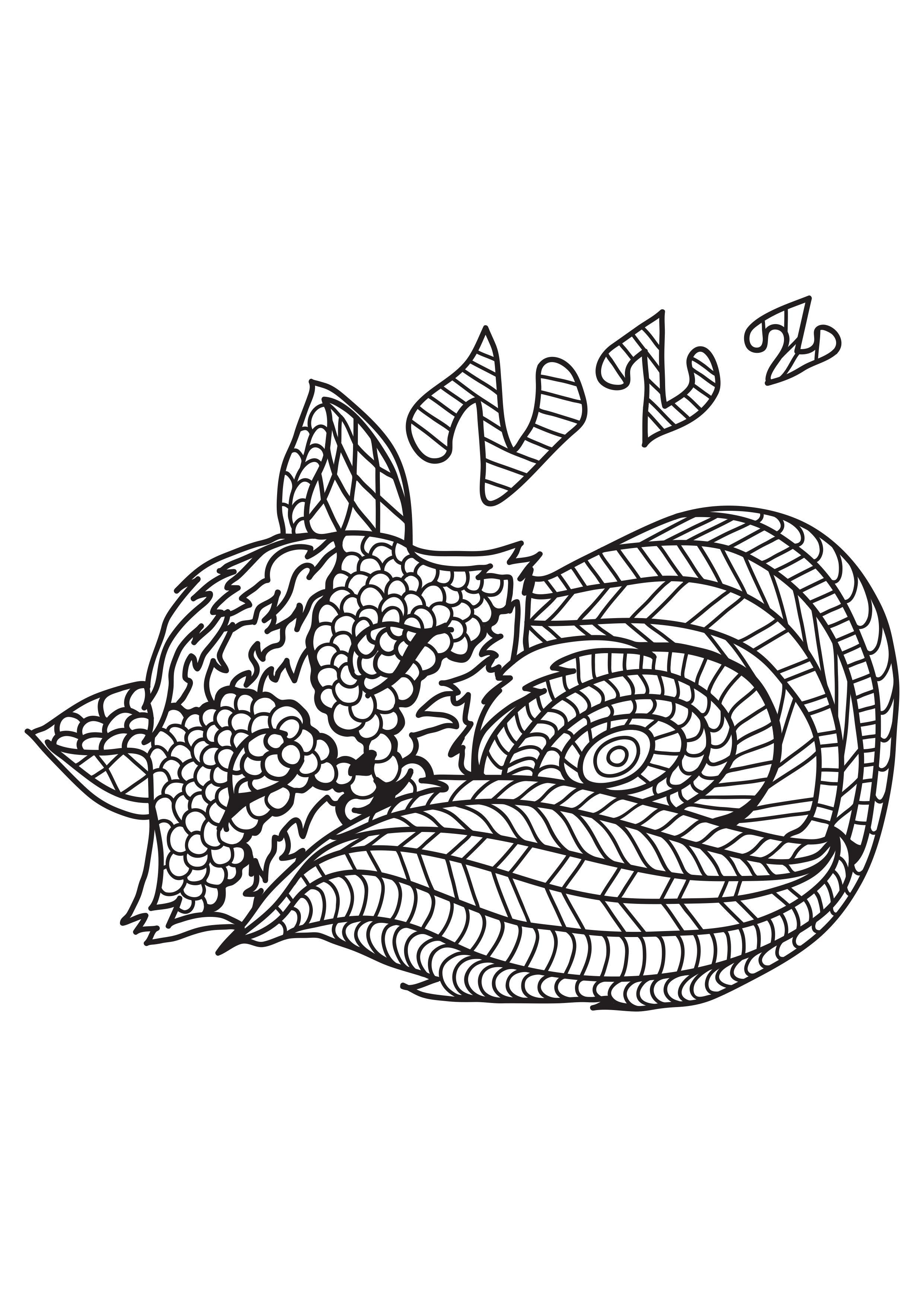Disegno da colorare il gatto sta dormendo