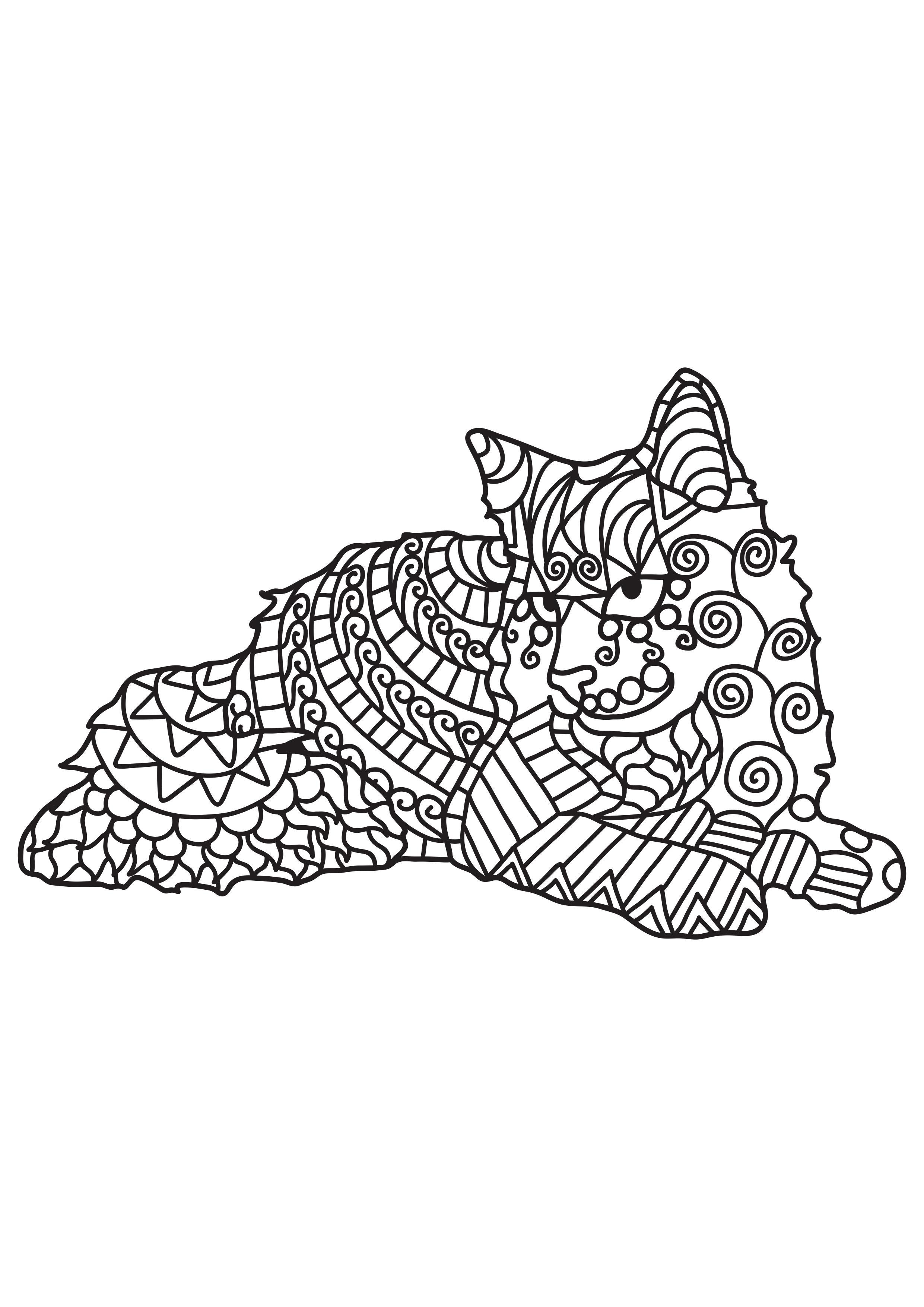 il gatto sta riposando Disegno da colorare il gatto sta riposando