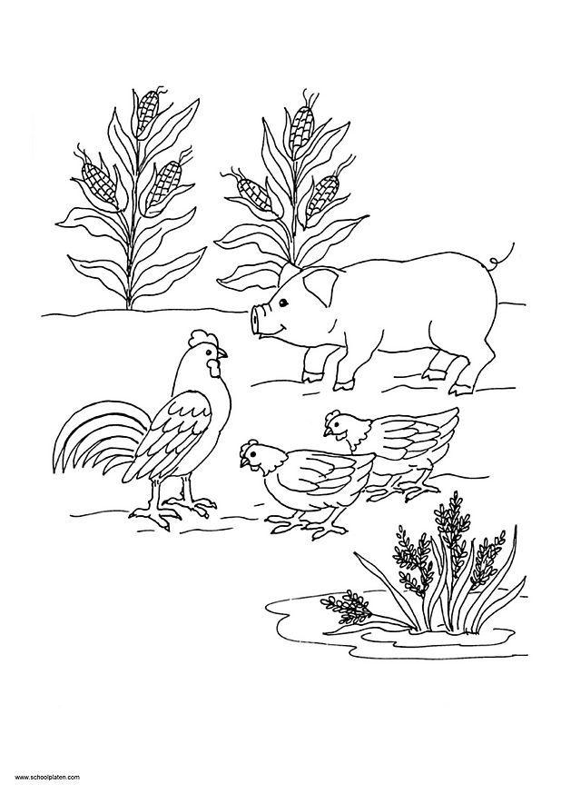 immagine 10 Disegno da colorare immagine 10