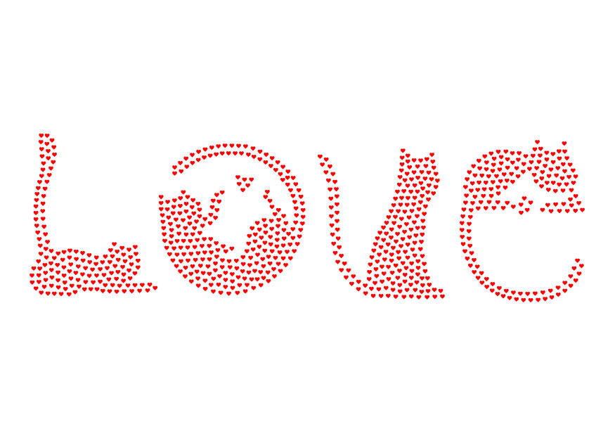immagine amore - gatti