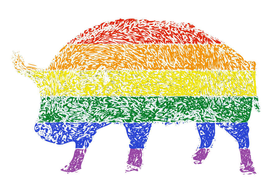 immagine diritti degli animali