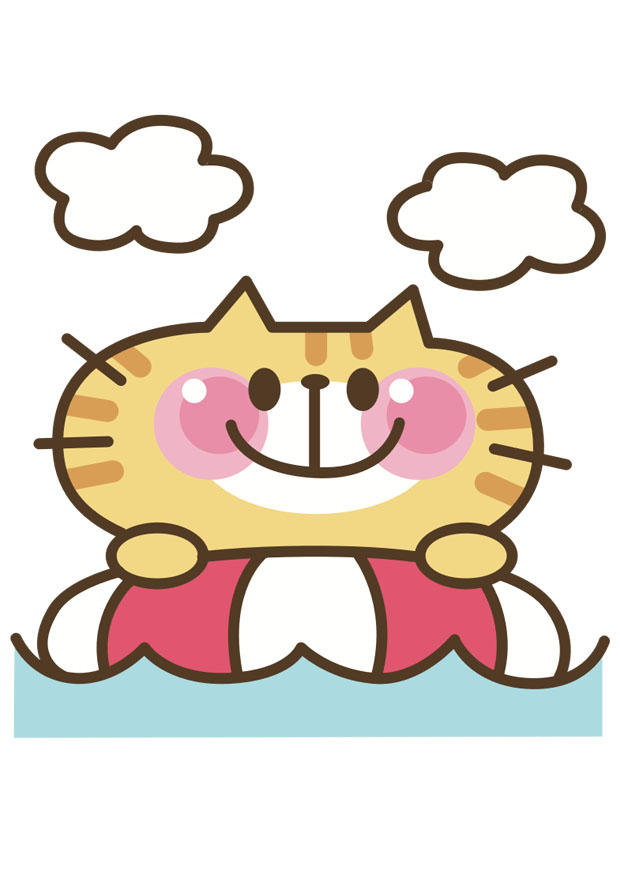immagine gatto