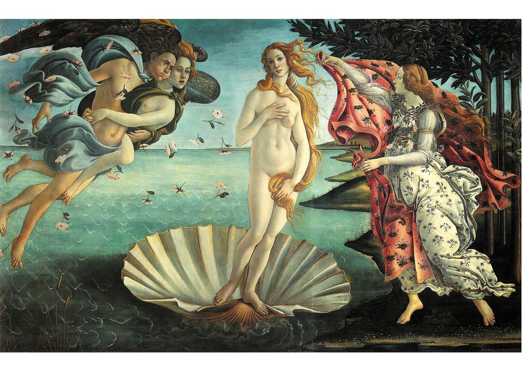 immagine la nascita di venere - sandro botticelli