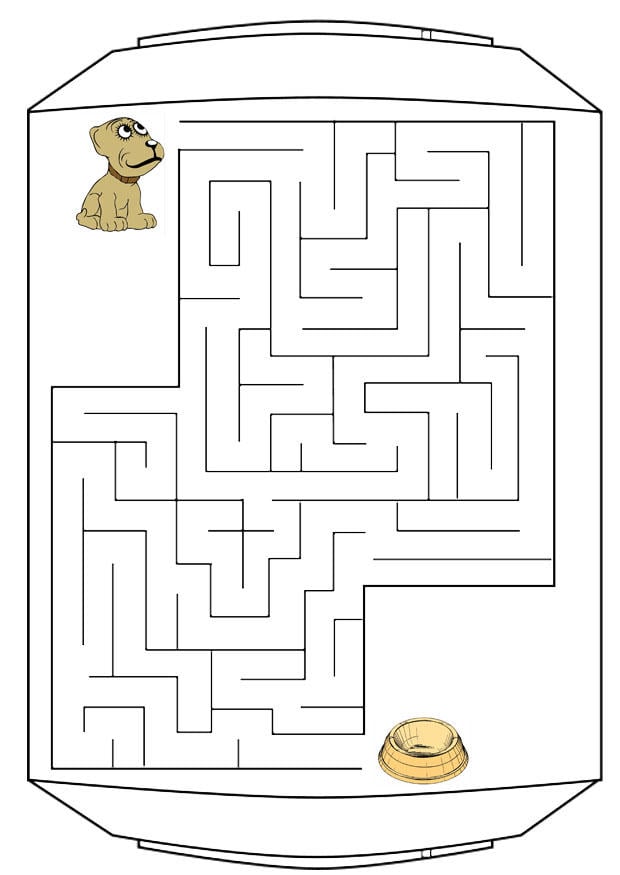 immagine labirinto