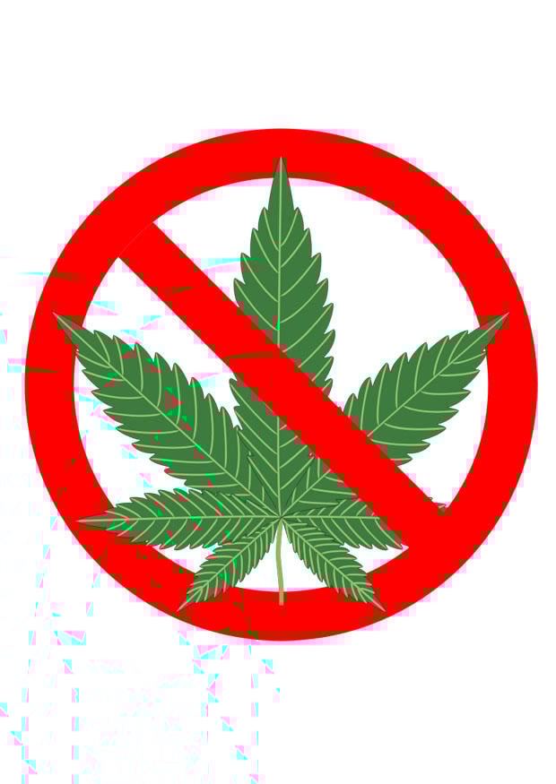 immagine marihuana vietata