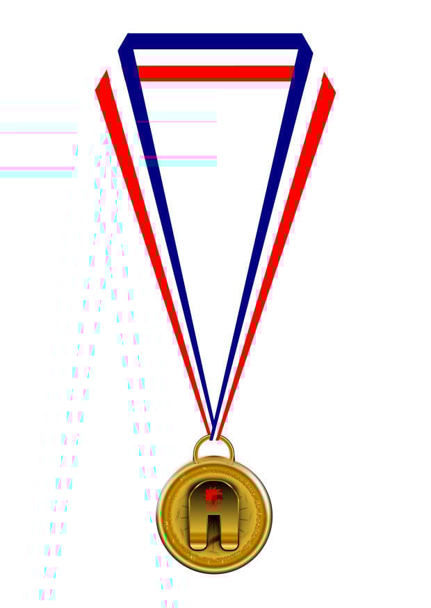 immagine medaglia