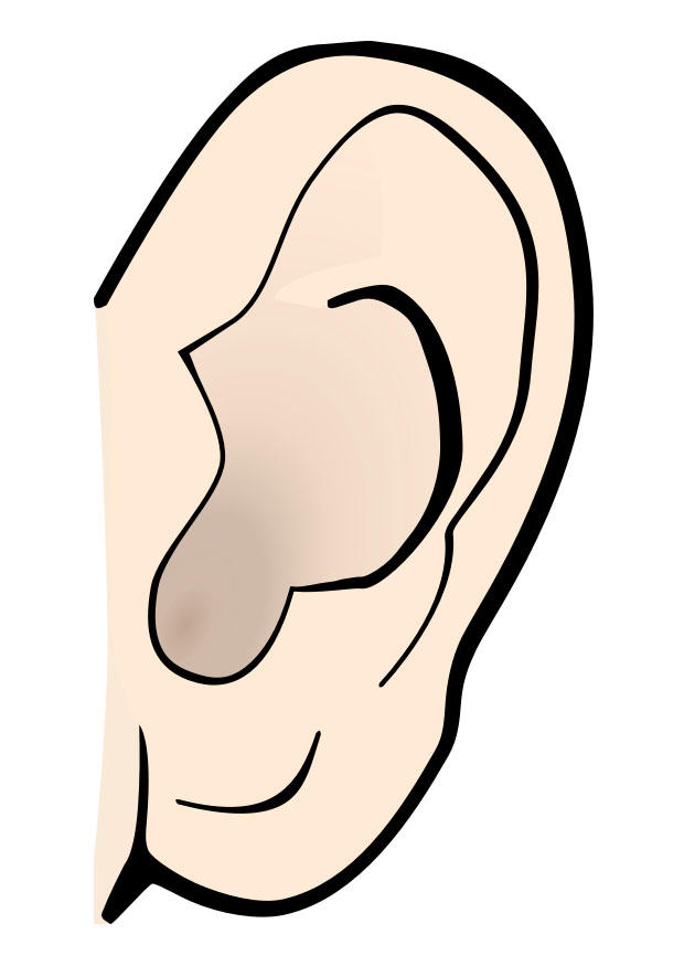 immagine orecchio - silenzio