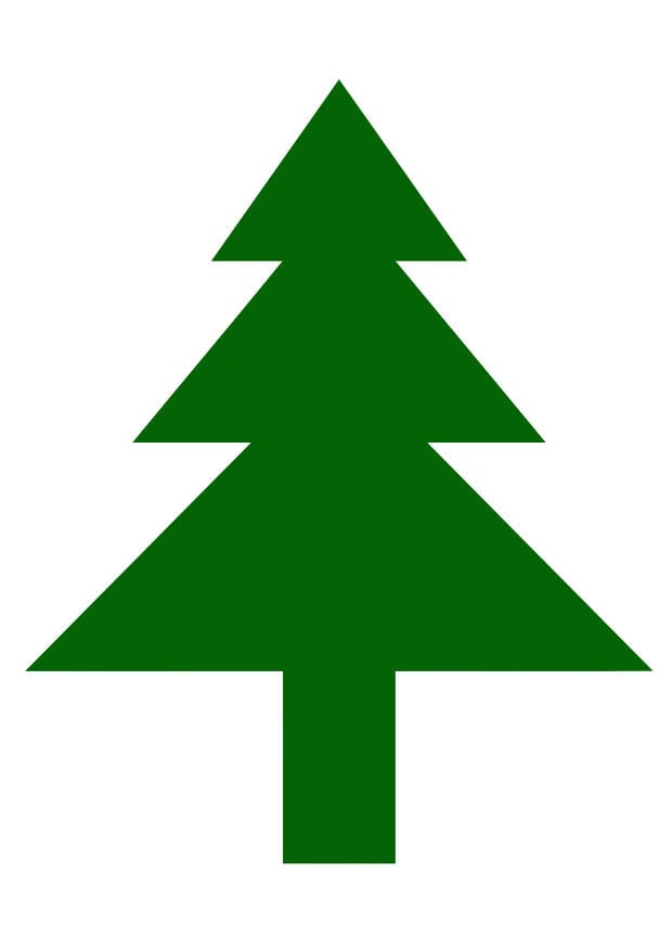 immagine pino
