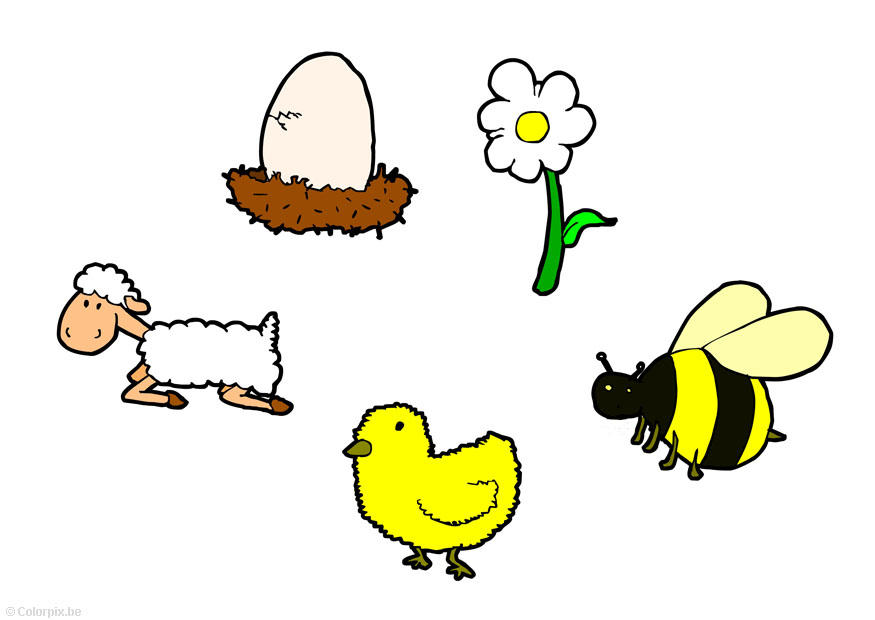 immagine primavera