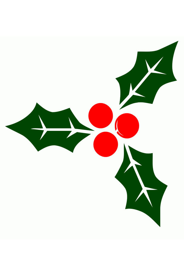 immagine vischio