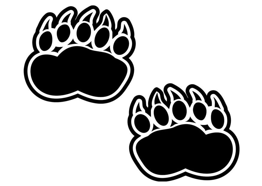 impronta orso Disegno da colorare impronta orso