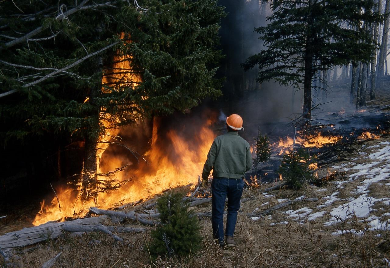 incendi boschivi Foto incendi boschivi