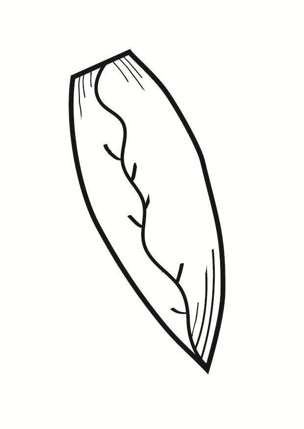 insalata belga Disegno da colorare insalata belga