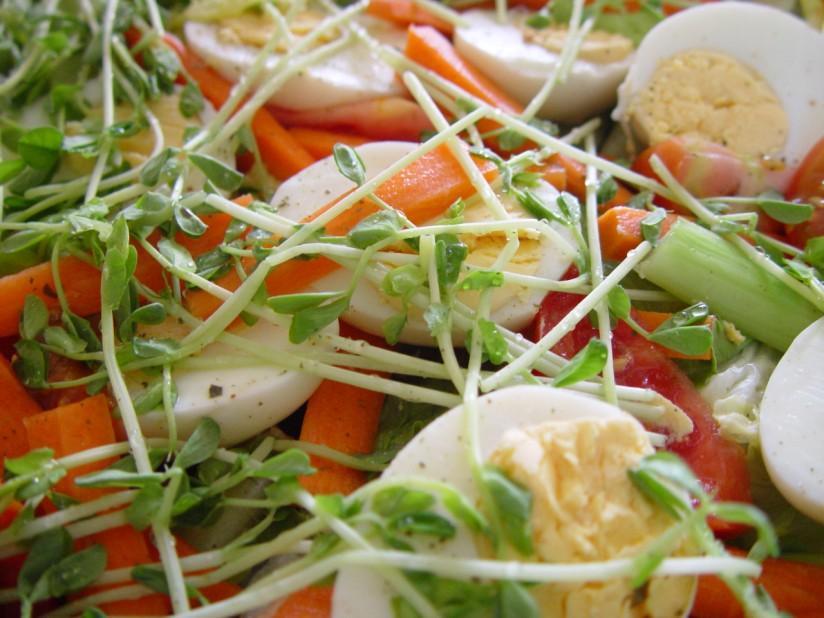 insalatona Foto insalatona